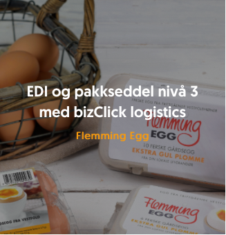 EDI og pakkeseddel nivå 3 med bizClick logistics. Flemming Egg.